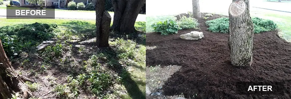 Before and after photo 1 of a yard by Hilltop Lawn Care LLC